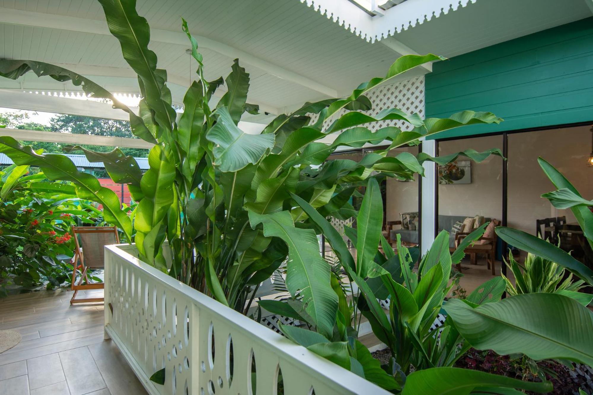 Namaitami Casa Hermosa Con Ac Y Piscina A Solo 650 Metros Del Parque Nacional Кауита Экстерьер фото